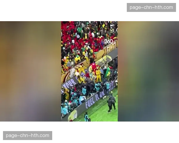 球迷冲入场内导致比赛中断五分钟,安保人员迅速将其带离 球迷冲入场内导致比赛中断五分钟,安保人员迅速将其带离